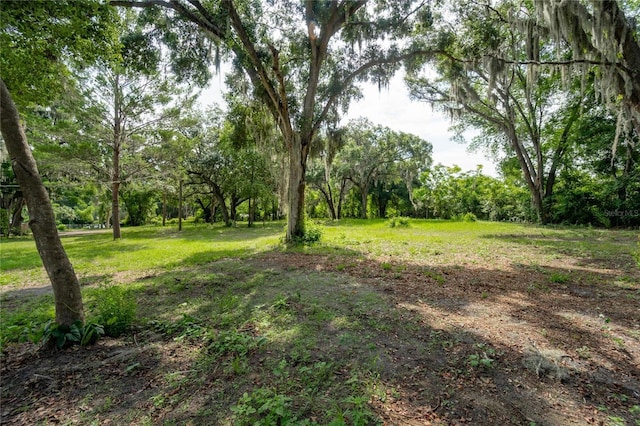 7813 Valrie Ln, Riverview, FL 33569 - view of yard