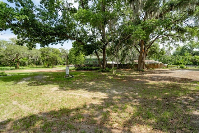 7813 Valrie Ln, Riverview, FL 33569 - view of yard