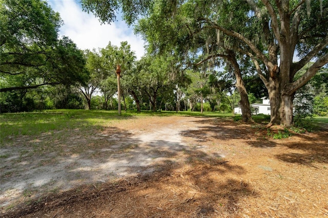 7813 Valrie Ln, Riverview, FL 33569 - view of yard