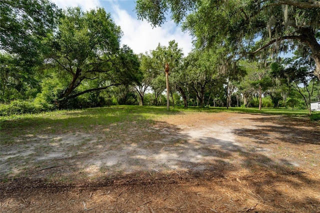 7813 Valrie Ln, Riverview, FL 33569 - exterior space