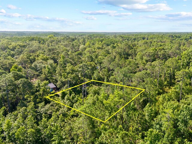 0 Dothan St, New Port Richey, FL 34654 - photo 5
