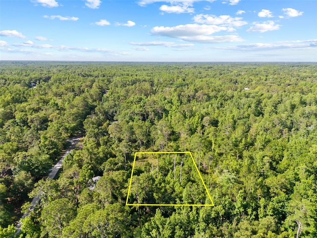 0 Dothan St, New Port Richey, FL 34654 - photo 15