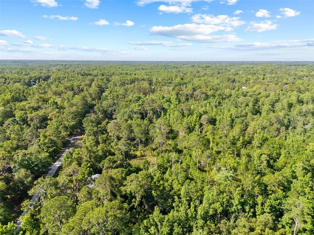 0 Dothan St, New Port Richey, FL 34654 - photo 16