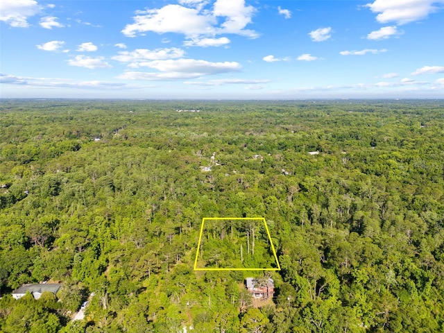 0 Dothan St, New Port Richey, FL 34654 - photo 17