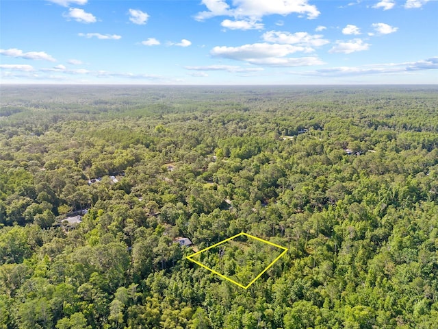 0 Dothan St, New Port Richey, FL 34654 - photo 23