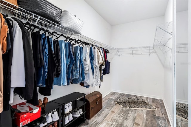 spacious closet with hardwood / wood-style floors