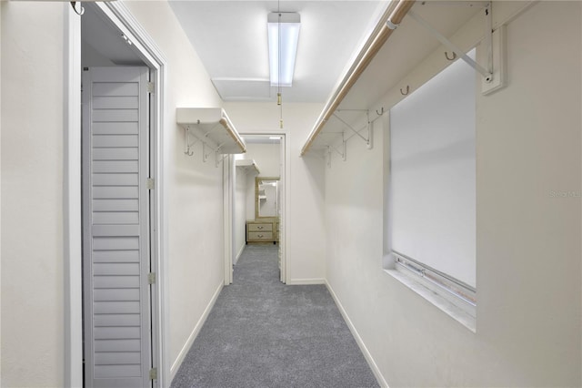 spacious closet with dark carpet