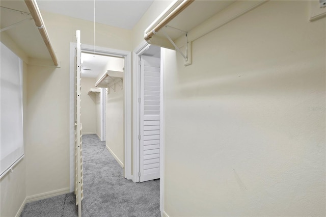 spacious closet featuring light colored carpet