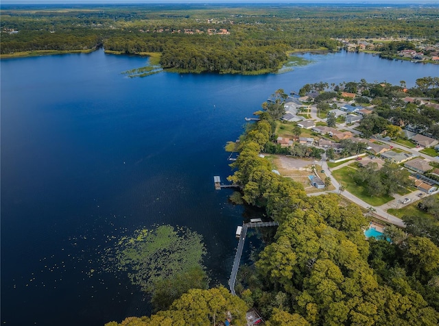 aerial view featuring a water view and a view of trees