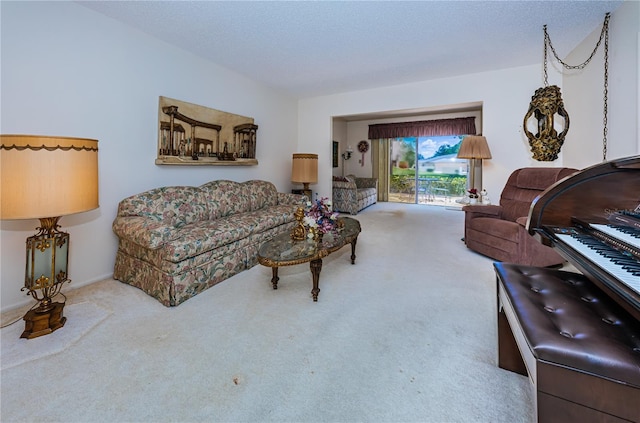 living area featuring light colored carpet and a textured ceiling