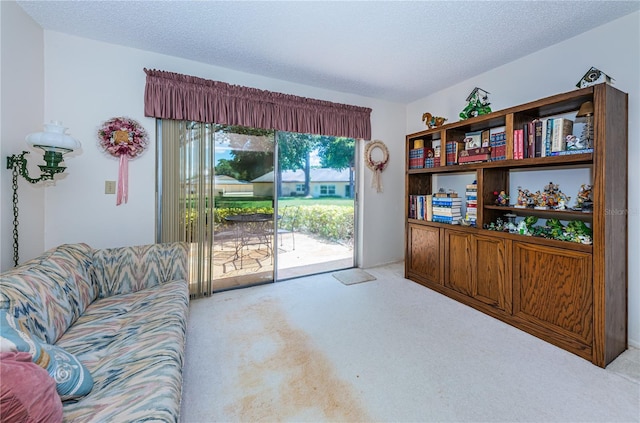 living area featuring a textured ceiling and light colored carpet