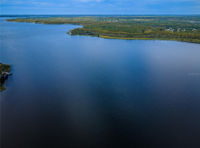 water view with a view of trees