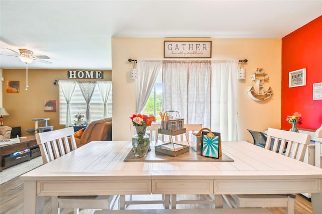 dining room with ceiling fan and hardwood / wood-style floors