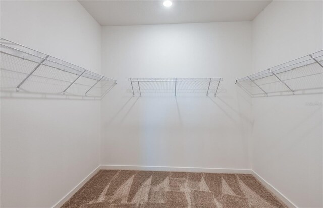 spacious closet featuring carpet