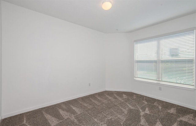 spare room with carpet floors