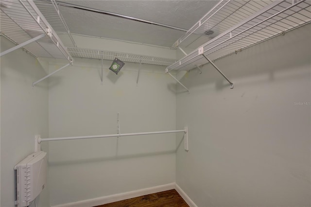 walk in closet with wood-type flooring