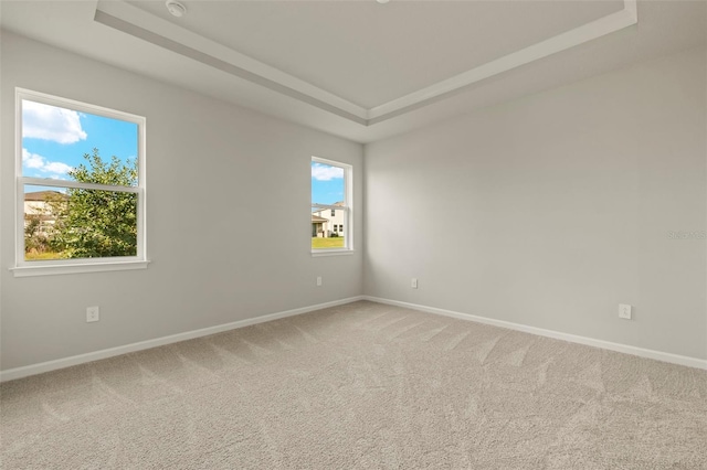 carpeted spare room with a raised ceiling