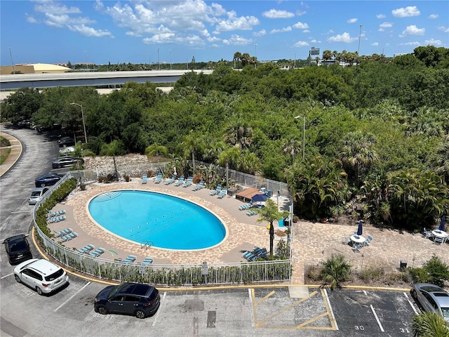 view of swimming pool with a patio