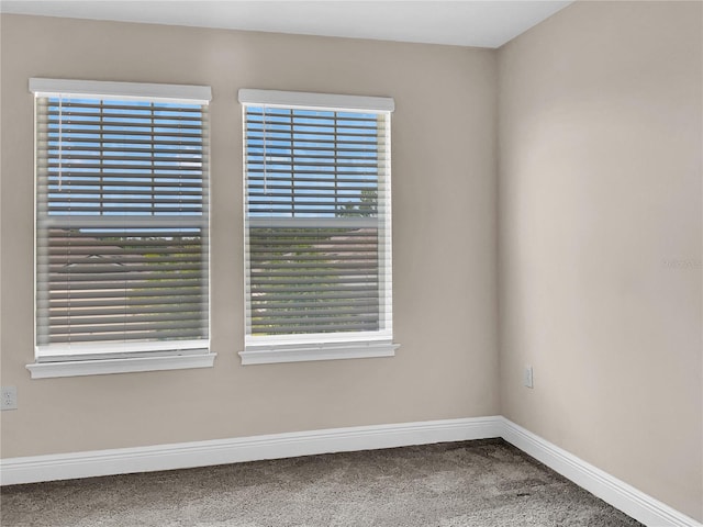 spare room with carpet floors and a healthy amount of sunlight