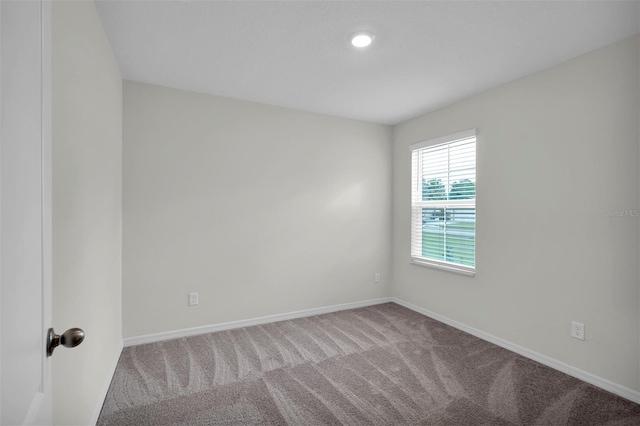 spare room with carpet floors