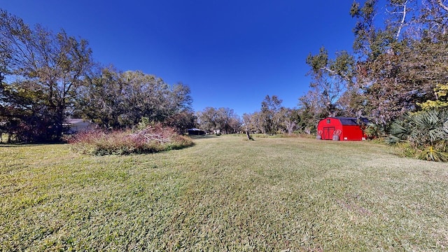 view of yard with a storage unit