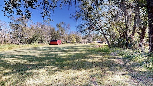 view of yard featuring a shed