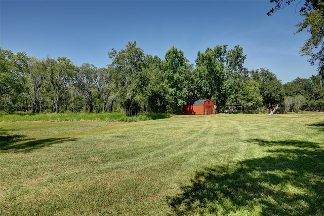 view of yard with a shed