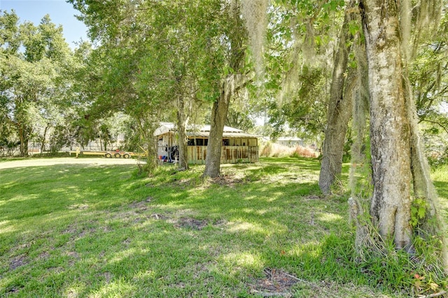 view of yard with an outdoor structure