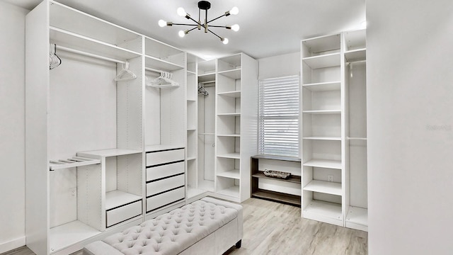 spacious closet featuring a chandelier and light wood-type flooring