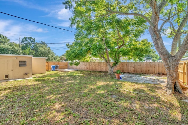 view of yard with a patio area