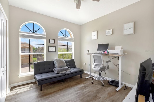 office space featuring ceiling fan and light hardwood / wood-style floors