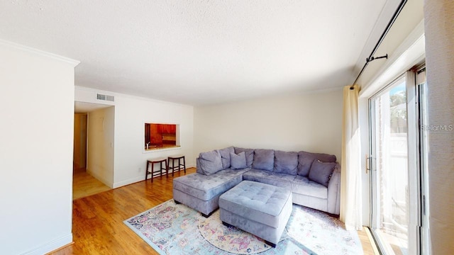 living room featuring ornamental molding and light hardwood / wood-style flooring