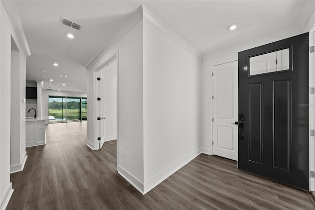 entrance foyer with dark hardwood / wood-style floors, crown molding, and sink