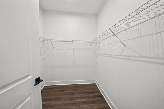 spacious closet featuring dark wood-type flooring