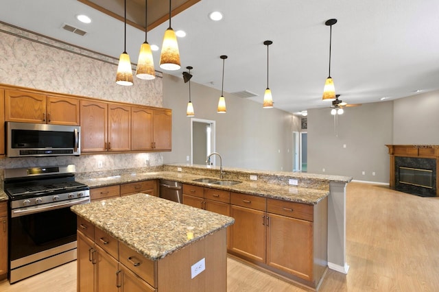 kitchen with light hardwood / wood-style floors, a fireplace, hanging light fixtures, sink, and appliances with stainless steel finishes