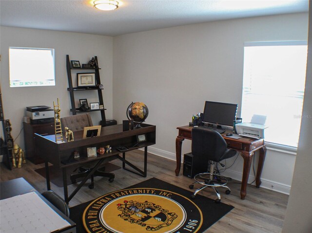 office space featuring wood-type flooring