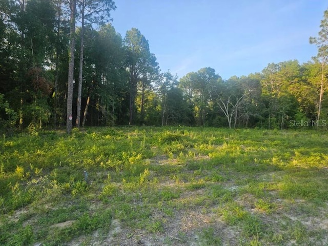 15578 Cliff Swallow Rd, Brooksville FL, 34614 land for sale