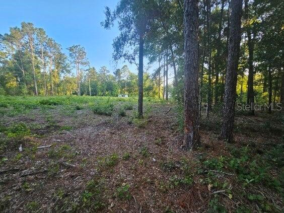 Listing photo 3 for 15578 Cliff Swallow Rd, Brooksville FL 34614