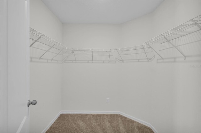 15271 SW 65th Terrace Rd, Ocala, FL 34473 - photo 12