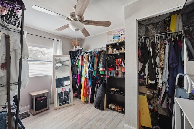 walk in closet featuring ceiling fan and light hardwood / wood-style floors