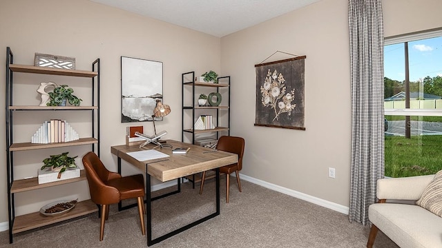 office featuring carpet flooring