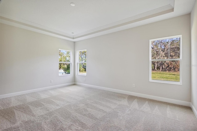 carpeted spare room featuring a raised ceiling and ornamental molding