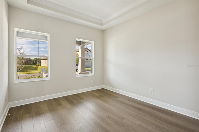 spare room with a raised ceiling and hardwood / wood-style floors