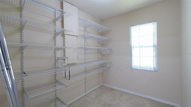 1702 Blind Pond Ave, Lutz, FL 33549 - photo 17