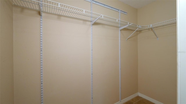 1702 Blind Pond Ave, Lutz, FL 33549 - photo 22