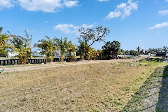 6542 Simone Shores Cir, Apollo Beach, FL 33572 - view of green lawn