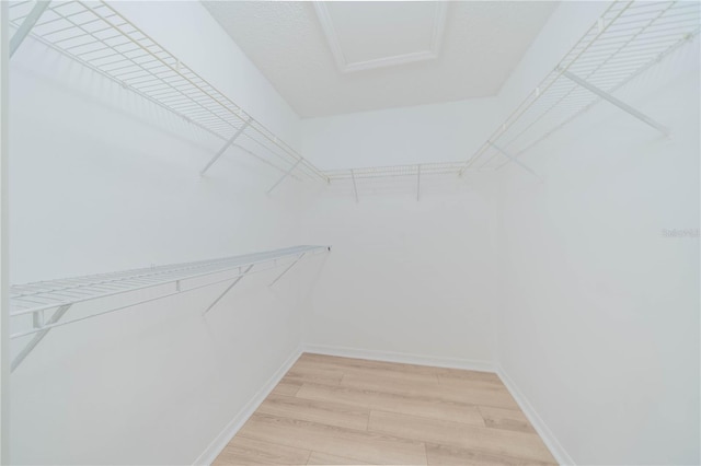 spacious closet featuring light wood finished floors and attic access