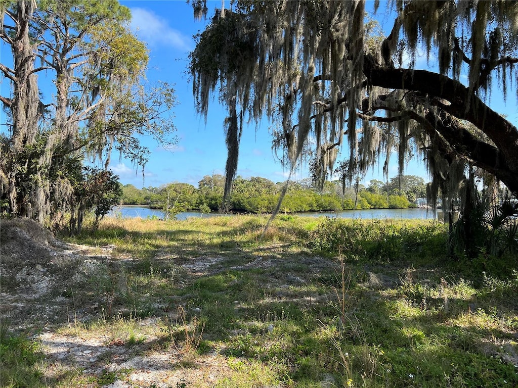 Heavens Way, New Port Richey, FL 34652 - photo 1