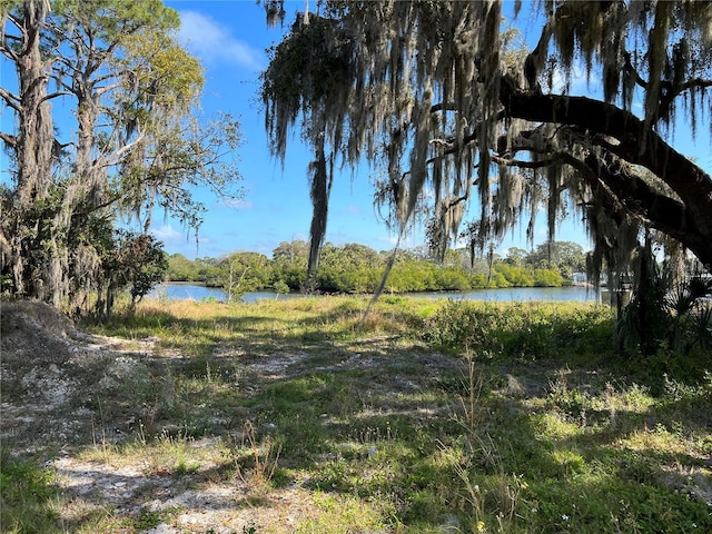 Heavens Way, New Port Richey, FL 34652 - photo 1