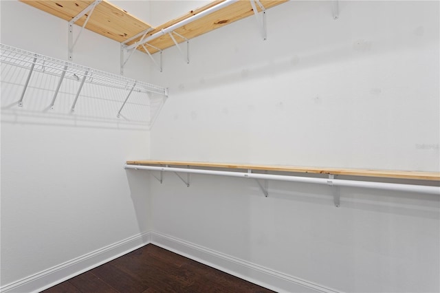 4606 W Fig St Unit 4, Tampa, FL 33609 - spacious closet with dark wood-type flooring
